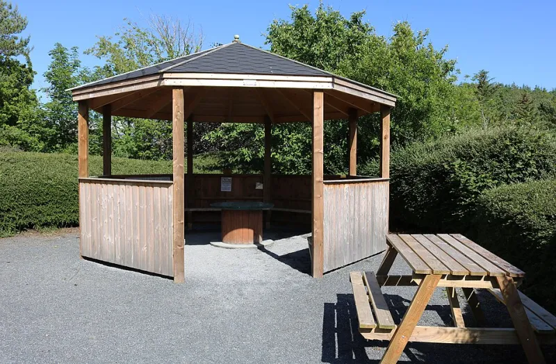 Five Backyard Laboratories: When Neighbors Build the Science Curriculum Themselves