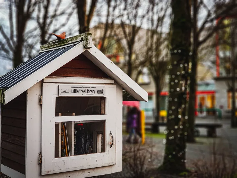 Curb Appeal for the Mind: How Free Little Libraries Are Evolving Into Neighborhood Knowledge Ecosystems