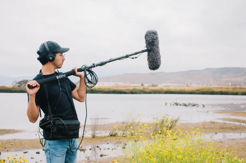 Silence as Symptom: How Volunteer Sound Scientists Are Diagnosing America's Forests by Ear
